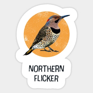 Northern Flicker Bird Sticker